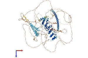 AlphaFold protein structure predicition of Mouse Recombinant Kank4 Protein, UniprotID Q6P9J5 (KANK4 Protein (AA 1-1016) (His tag))