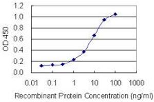 Detection limit for recombinant GST tagged PTPN9 is 0. (PTPN9 antibody  (AA 1-100))