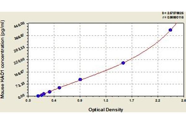 HAO1 ELISA Kit