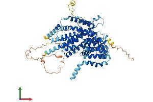 AlphaFold protein structure predicition of Human Recombinant SLC13A3 Protein, UniprotID Q8WWT9 (SLC13A3 Protein (AA 1-602) (His tag))