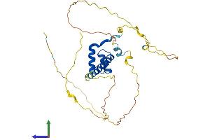Protein Structure (PS) image for Msh Homeobox 1 (MSX1) (AA 1-303) protein (His tag) (ABIN7562857)