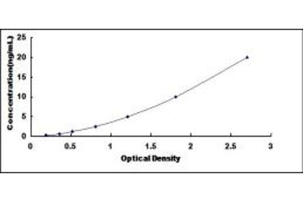 PIBF1 ELISA Kit