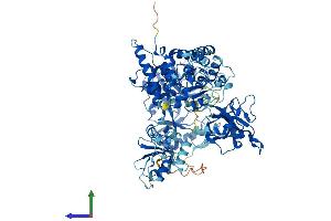 Protein Structure (PS) image for Ligase IV, DNA, ATP-Dependent (LIG4) (AA 1-911) protein (His tag) (ABIN7553715)