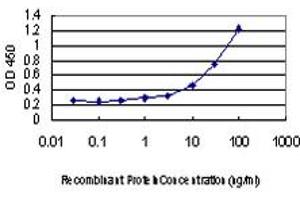 Detection limit for recombinant GST tagged NUDT10 is approximately 1ng/ml as a capture antibody. (NUDT10 antibody  (AA 1-164))