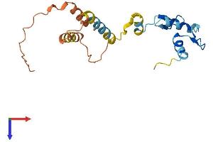 AlphaFold protein structure predicition of Human Recombinant ZNF826P Protein, UniprotID Q6ZT77