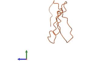 Protein Structure (PS) image for Keratin Associated Protein 8-1 (KRTAP8-1) (AA 1-63) protein (Fc Tag) (ABIN7548992)