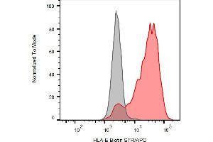 Flow cytometry analysis (surface staining) of HLA-E transfectants with anti-human HLA-E (clone MEM-E/07) biotin antibody (red), streptavidin-APC (red, concentration in sample 4 μg/mL), with blank sample (grey). (HLA-E antibody  (Biotin))