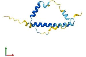 AlphaFold protein structure predicition of Human Recombinant LIN52 Protein, UniprotID Q52LA3