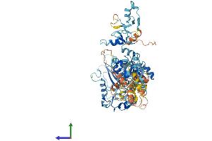 AlphaFold protein structure predicition of Human Recombinant ZFYVE1 Protein, UniprotID Q9HBF4 (ZFYVE1 Protein (AA 1-777) (His tag))