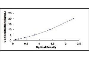 Typical standard curve (CDK5 ELISA Kit)