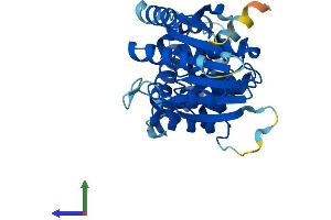 AlphaFold protein structure predicition of Mouse Recombinant Eef2kmt Protein, UniprotID Q3UZW7