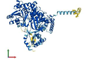 AlphaFold protein structure predicition of Mouse Recombinant Acsl1 Protein, UniprotID P41216 (ACSL1 Protein (AA 1-699) (His tag))