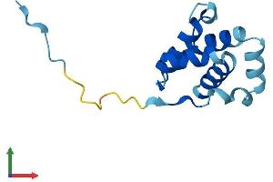 AlphaFold protein structure predicition of Mouse Recombinant Cnfn Protein, UniprotID Q6PCW6 (Cornifelin (CNFN) (AA 1-111) protein (His tag))