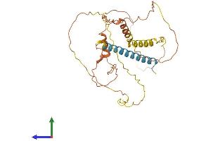 AlphaFold protein structure predicition of Human Recombinant FAM153A Protein, UniprotID Q9UHL3 (FAM153A Protein (AA 1-310) (His tag))