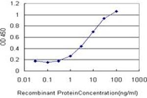Detection limit for recombinant GST tagged GRK6 is approximately 1ng/ml as a capture antibody. (GRK6 antibody  (AA 71-170))