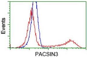 Image no. 3 for anti-Protein Kinase C and Casein Kinase Substrate in Neurons 3 (PACSIN3) antibody (ABIN1500014) (PACSIN3 antibody)