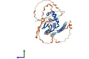 AlphaFold protein structure predicition of Human Recombinant OTUD1 Protein, UniprotID Q5VV17 (OTUD1 Protein (AA 1-481) (His tag))