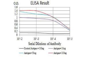 Black line: Control Antigen (100 ng),Purple line: Antigen (10 ng), Blue line: Antigen (50 ng), Red line:Antigen (100 ng) (CD226 antibody  (AA 19-254))
