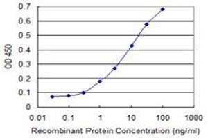 Detection limit for recombinant GST tagged RNF11 is 0. (RNF11 antibody  (AA 65-154))