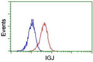 Image no. 2 for anti-Immunoglobulin J Polypeptide, Linker Protein For Immunoglobulin alpha and mu Polypeptides (IGJ) antibody (ABIN1498838) (IGJ antibody)