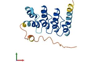 AlphaFold protein structure predicition of Human Recombinant ANKRD20A5P Protein, UniprotID A0PJZ0