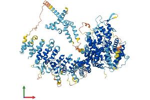 AlphaFold protein structure predicition of Mouse Recombinant Tbc1d32 Protein, UniprotID Q3URV1 (Chromosome 6 Open Reading Frame 170 (C6ORF170) (AA 1-1296) protein (His tag))