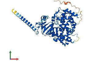 Protein Structure (PS) image for Cytochrome P450, Family 26, Subfamily B, Polypeptide 1 (CYP26B1) (AA 1-512) protein (His tag) (ABIN7553530)