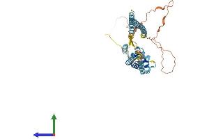 Protein Structure (PS) image for Activity-Regulated Cytoskeleton-Associated Protein (Arc) (AA 1-396) protein (His tag) (ABIN7552264)