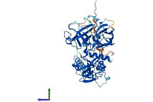 Protein Structure (PS) image for Transmembrane Protease, Serine 3 (TMPRSS3) (AA 1-453) protein (His tag) (ABIN7559483)
