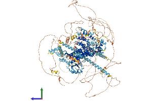 AlphaFold protein structure predicition of Mouse Recombinant Fhod3 Protein, UniprotID Q76LL6 (FHOD3 Protein (AA 1-1578) (His tag))