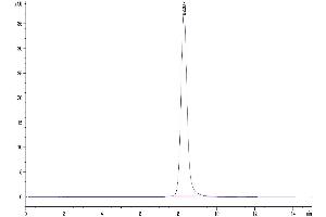 The purity of Human CD3E&CD3G/CD3 Epsilon&CD3 Gamma was greater than 95 % as determined by SEC-HPLC. (CD3E & CD3G (AA 23-126) protein (Fc Tag))