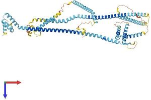 AlphaFold protein structure predicition of Mouse Recombinant Haus5 Protein, UniprotID Q9D786 (HAUS5 Protein (AA 1-619) (His tag))
