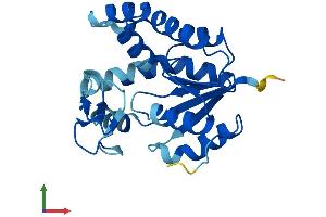 Protein Structure (PS) image for Adenylate Kinase 4 (AK4) (AA 1-223) protein (His tag) (ABIN7556289)
