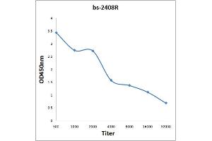 Antigen: 0. (INA antibody  (AA 251-350))