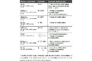 Active surfaces and example applications of MagSi-tools