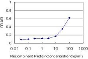 Detection limit for recombinant GST tagged PTPRE is approximately 10ng/ml as a capture antibody. (PTPRE antibody  (AA 511-600))