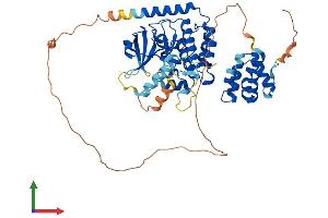 Protein Structure (PS) image for Receptor-Interacting Serine-threonine Kinase 2 (RIPK2) (AA 1-539) protein (His tag) (ABIN7563471)