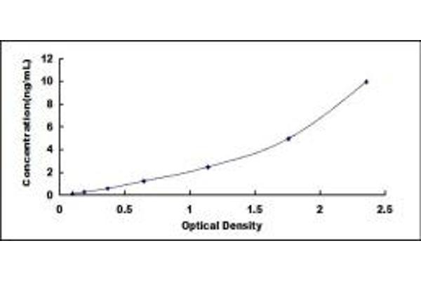 HSPB2 ELISA Kit