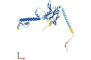 AlphaFold protein structure predicition of Human Recombinant KCNJ8 Protein, UniprotID Q15842 (KCNJ8 Protein (AA 1-424) (His tag))