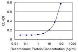 Detection limit for recombinant GST tagged TBX21 is 1 ng/ml as a capture antibody. (T-Bet antibody  (AA 387-486))