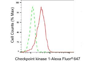 Flow cytometric analysis of Checkpoint kinase 1 expression in HepG2 cells using Checkpoint kinase 1 antibody (ABIN7798036), 1:2,000).