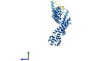 AlphaFold protein structure predicition of Mouse Recombinant Rmnd5b Protein, UniprotID Q91YQ7 (RMND5B Protein (AA 1-393) (His tag))