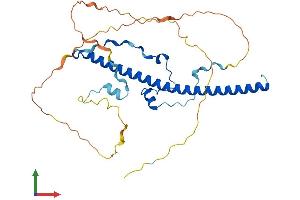 AlphaFold protein structure predicition of Human Recombinant DBP Protein, UniprotID Q10586 (DBP Protein (AA 1-325) (His tag))