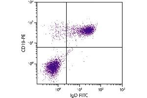 BALB/c mouse splenocytes were stained with Rat Anti-Mouse IgD-FITC. (Rat anti-Mouse IgD Antibody (FITC))