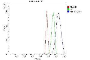 Flow Cytometry analysis of U87 cells using anti-Neuropilin 1 antibody (ABIN7601920).