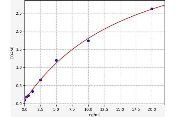 TRA2B ELISA Kit