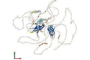 AlphaFold protein structure predicition of Human Recombinant NFATC1 Protein, UniprotID O95644 (NFATC1 Protein (AA 1-943) (His tag))