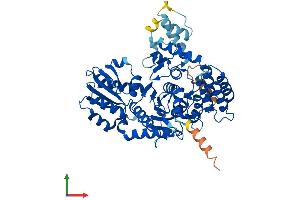 Protein Structure (PS) image for Vacuolar Protein Sorting 45 (VPS45) (AA 1-570) protein (His tag) (ABIN7545075)