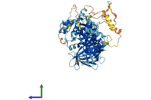 Protein Structure (PS) image for Fermitin Family Member 2 (FERMT2) (AA 1-680) protein (His tag) (ABIN7564590)