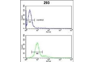 RB1 Antibody (C-term) (ABIN652516 and ABIN2842345) flow cytometric analysis of 293 cells (bottom histogram) compared to a negative control cell (top histogram). (Retinoblastoma 1 antibody  (C-Term))